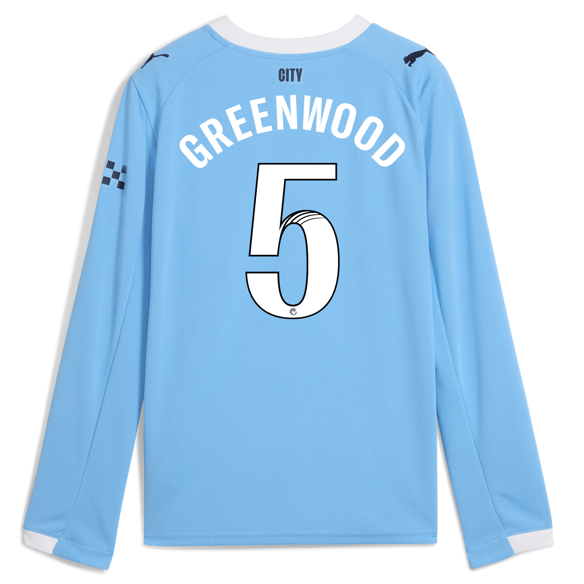 Manchester City kids manchester city home jersey 202526 long sleeve with greenwood 5 printing Collection - ManchesterCitystore.com