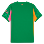 Manchester City manchester city goalkeeper jersey green 202526 with custom printing Collection - ManchesterCitystore.com