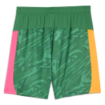 Manchester City manchester city goalkeeper shorts 202526 green Collection - ManchesterCitystore.com