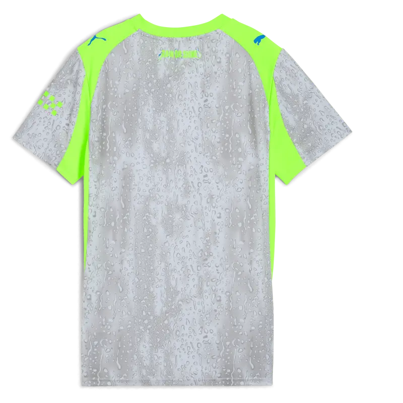 womens-manchester-city-third-jersey-green-202526-with-custom-printing-701237144-none-blue-premierleague